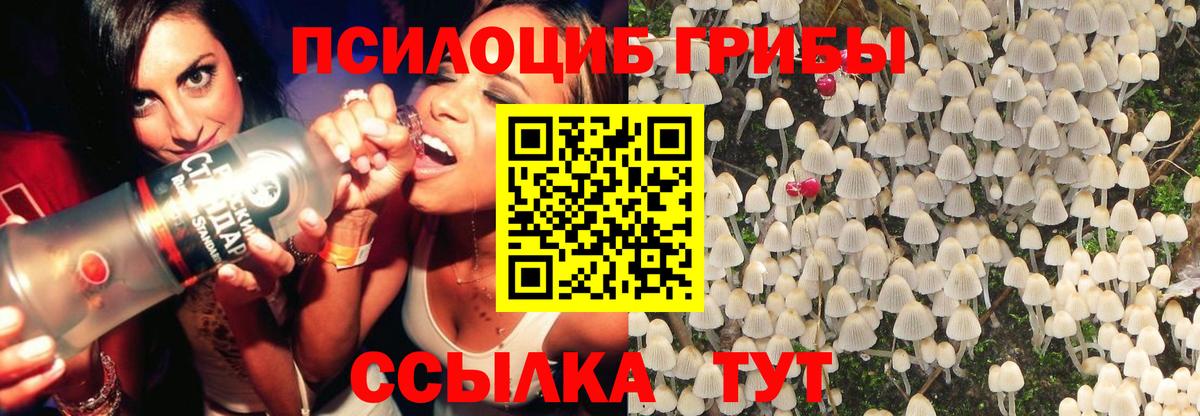 Галлюциногенные грибы Magic Shrooms  Вход с VPN  Заволжье  Галлюциногенные грибы Psilocybe 